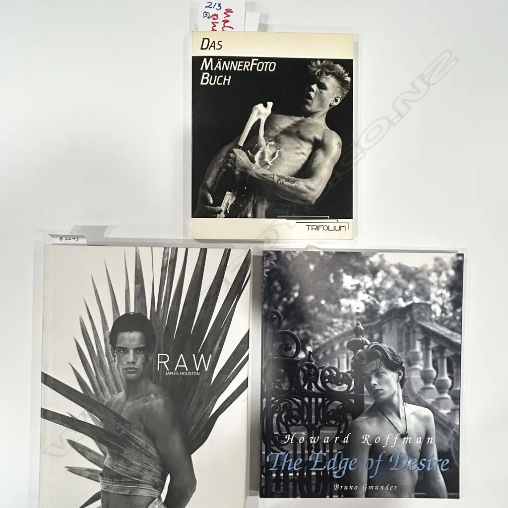 THREE MALE NUDE PHOTOGRAPHY BOOKS Image 1++